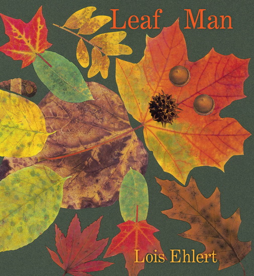 Leaf Man Board Book - LOIS EHLERT