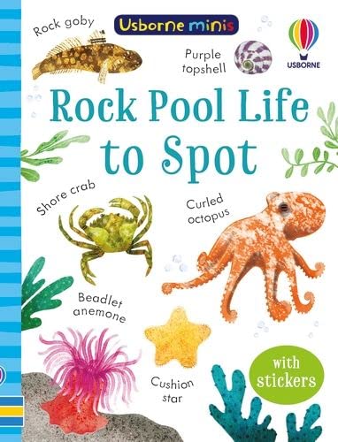 USBORNE MINIS: ROCK POOL LIFE TO SPOT - SIMON TUDHOPE