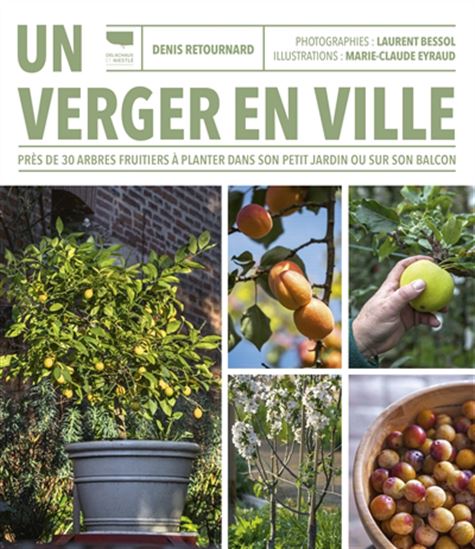 Un verger en ville : près de 30 arbres fruitiers à planter dans son petit jardin ou sur son balcon - DENIS RETOURNARD - MARIE-CLAUDE EYRAUD