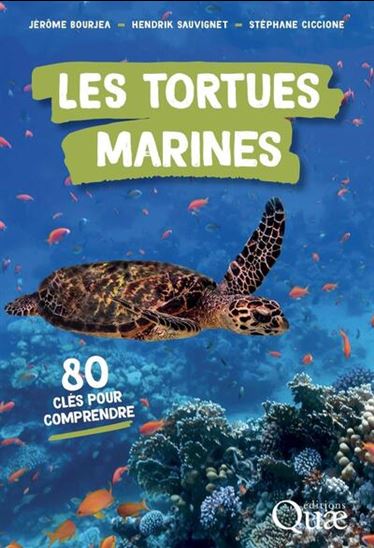Les Tortues marines : 80 clés pour comprendre - JÉRÔME BOURJEA & AL