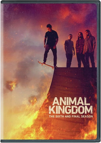 Animal Kingdom: Season 6 - JONATHAN LISCO
