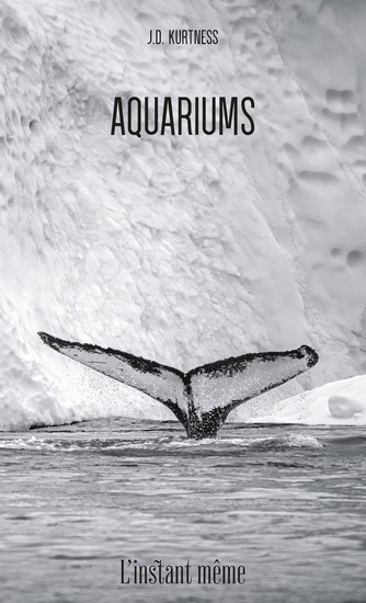 Aquariums - J D KURTNESS