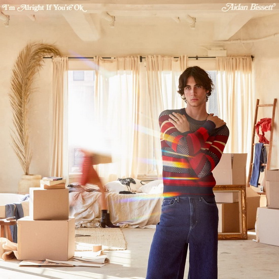 I'm Alright If You're Ok (Vinyle 12 Po.) - AIDAN BISSETT