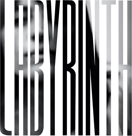 Labyrinth - HEATHER WOODS BRODERICK