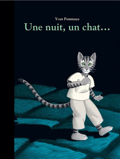 Une nuit, un chat... - YVAN POMMAUX
