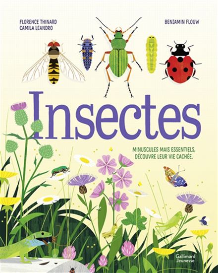 Insectes : minuscules mais essentiels, découvre leur vie cachée - FLORENCE THINARD & AL