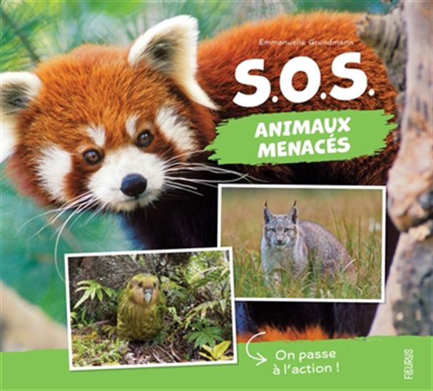 SOS animaux menacés : des initiatives pour les sauver ! - EMMANUELLE GRUNDMANN