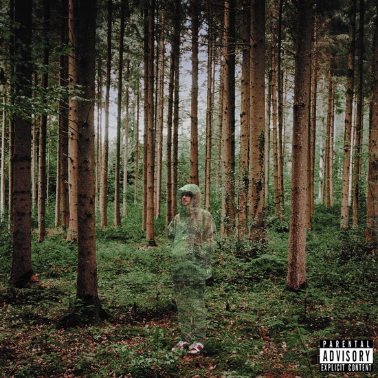 I Love You, I'm Trying (Jewelcase CD) - GRANDSON