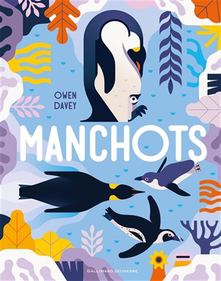 Manchots - OWEN DAVEY