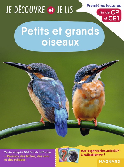 Petits et grands oiseaux : premières lectures, fin de CP et CE1 - ZAUBETTE