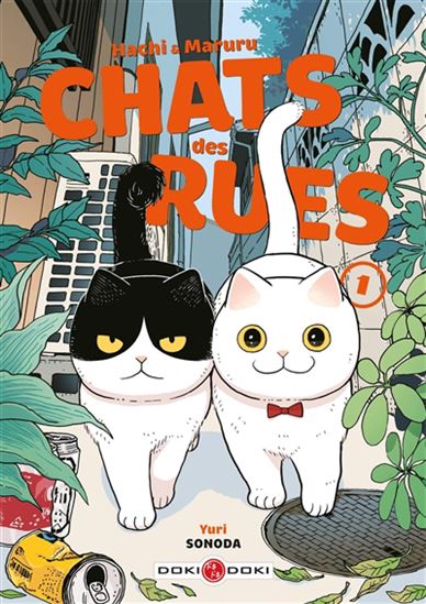 Hachi & Maruru : chats des rues #01 - YURI SONODA