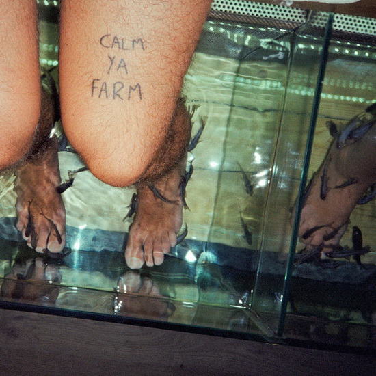 Calm Ya Farm (Vinyle) - THE MURLOCS