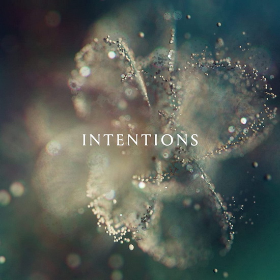 Intentions (2Vinyle) - ANNA