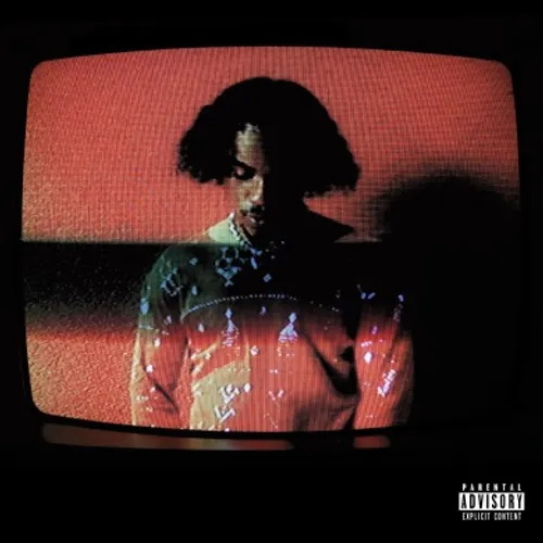 Sleepy Soldier (Vinyle) - TANNA LEONE