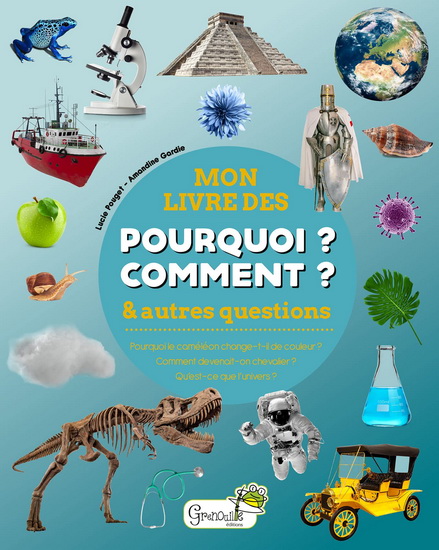 Mon livre des pourquoi ? comment ? : et autres questions N. éd. - LUCIE POUGET - AMANDINE GARDIE