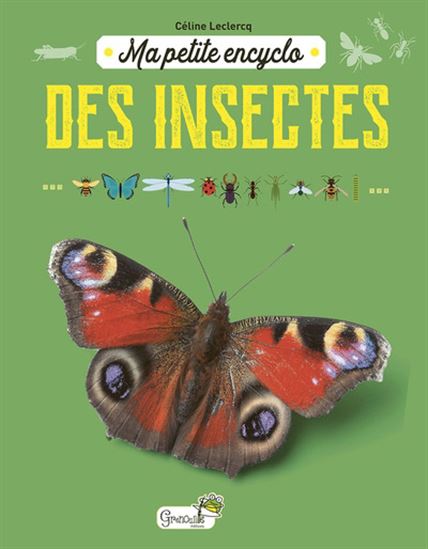 Ma petite encyclo des insectes - CÉLINE LECLERCQ