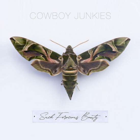 Such Ferocious Beauty - COWBOY JUNKIES