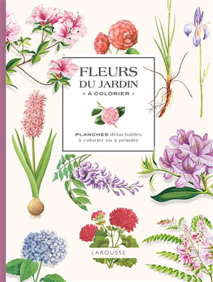 Mes fleurs du jardin à colorier : planches détachables à colorier ou à peindre - COLLECTIF