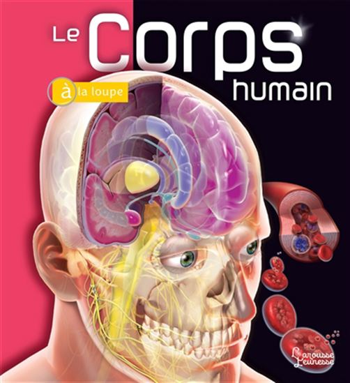 Le Corps humain N. éd. - LINDA CALABRESI
