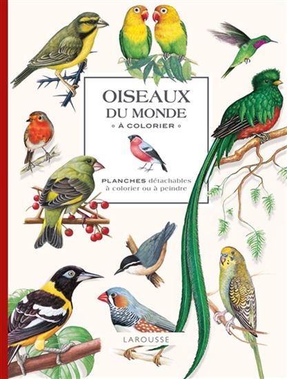 Oiseaux du monde à colorier : planches détachables à colorier ou à peindre - COLLECTIF