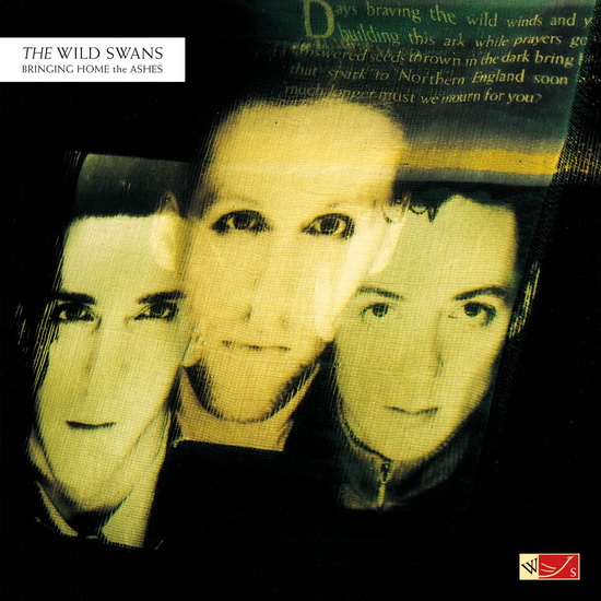 Bringing Home The Ashes (Vinyle 180g - Vert Translucide) - WILD SWANS