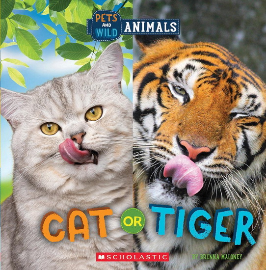 Cat or Tiger (Wild World: Pets and Wild Animals) - BRENNA MALONEY