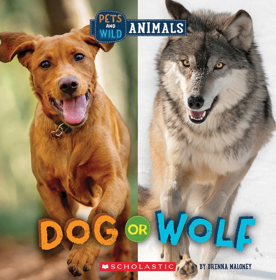 Dog or Wolf (Wild World: Pets and Wild Animals) - BRENNA MALONEY