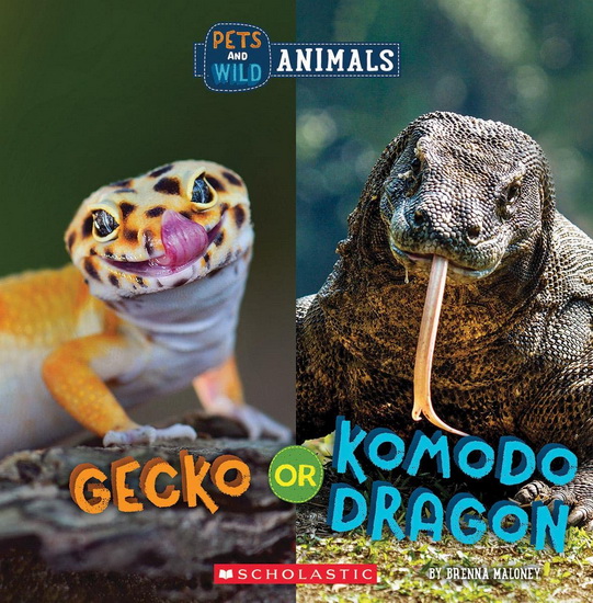 Gecko or Komodo Dragon (Wild World: Pets and Wild Animals) - BRENNA MALONEY