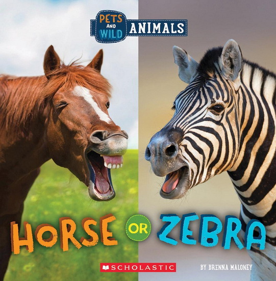 Horse or Zebra (Wild World: Pets and Wild Animals) - BRENNA MALONEY