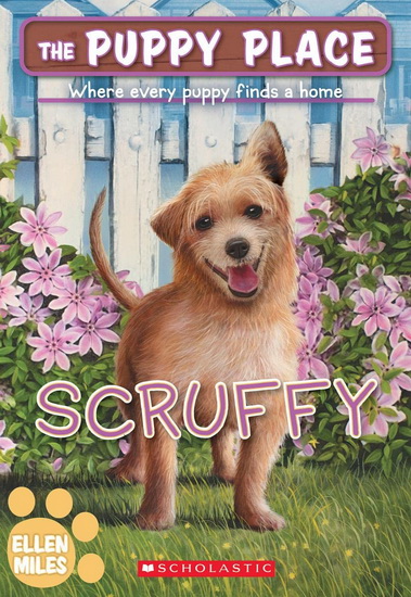 Scruffy (The Puppy Place #67) - ELLEN MILES