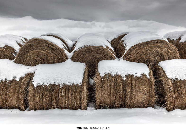Winter - BRUCE HALEY