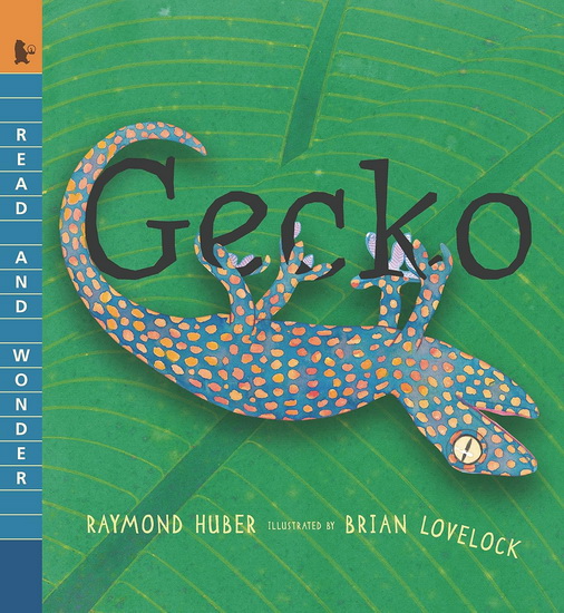 Gecko - RAYMOND HUBER - BRIAN LOVELOCK