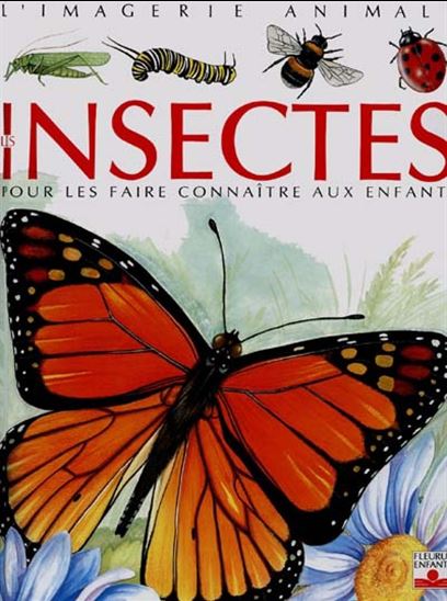 Les Insectes - SELLEY & AL