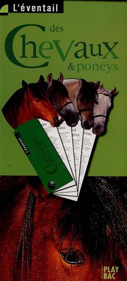 L'Eventail des chevaux et poneys - COLLECTIF