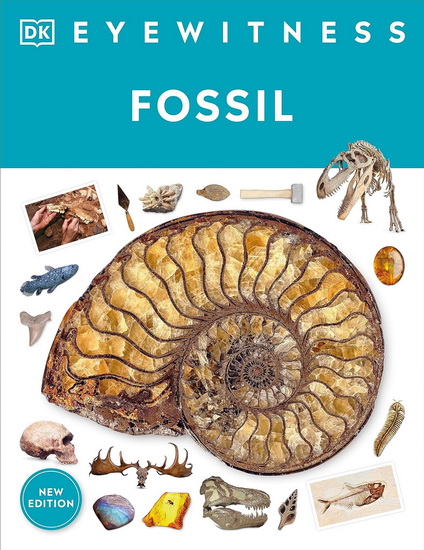 Eyewitness Fossil - DK