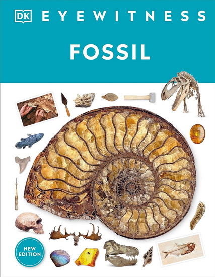Eyewitness Fossil - DK