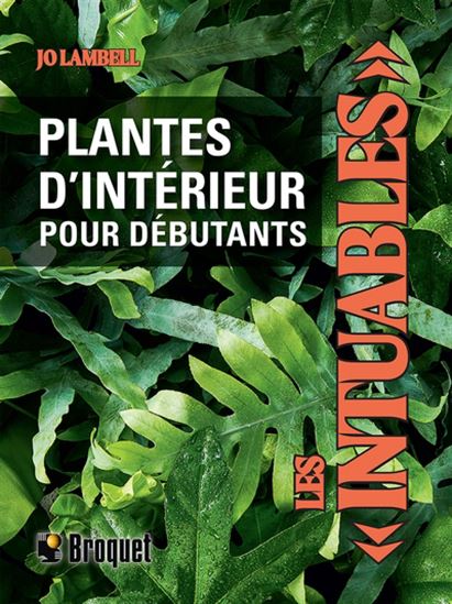 Les Intuables : plantes d&#39;intérieur pour débutants - JO LAMBELL