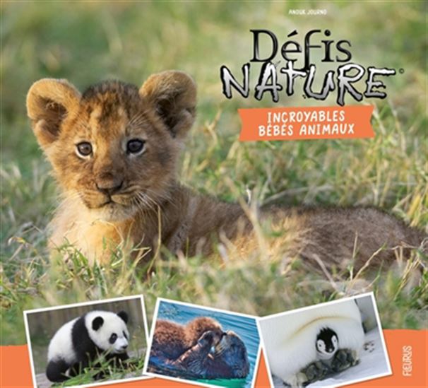 Incroyables bébés animaux - ANOUK JOURNO-DUREY