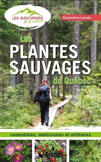Les Plantes sauvages du Québec : comestibles, médicinales et utilitaires - GENEVIÈVE LAVOIE