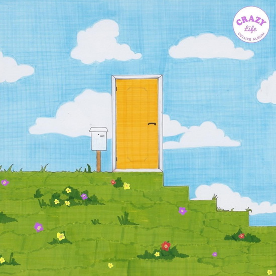 Crazy Life (Éd. Deluxe)(Vinyle) - ANNA OF THE NORTH