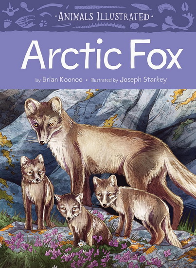 Animals Illustrated: Arctic Fox - BRIAN KOONOO - JOSEPH STARKEY