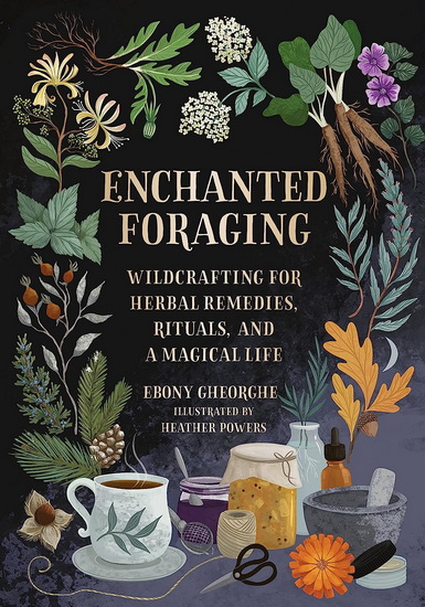 Enchanted Foraging: Wildcrafting for Herbal Remedies, Rituals, and a Magical Life - EBONY GHEORGHE