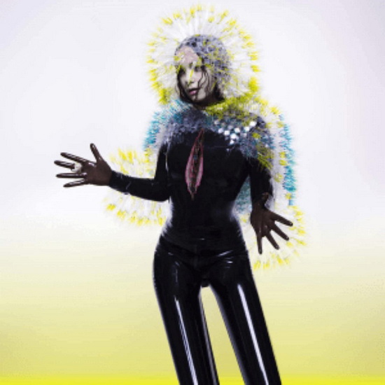 Vulnicura (Vinyle) - BJÖRK