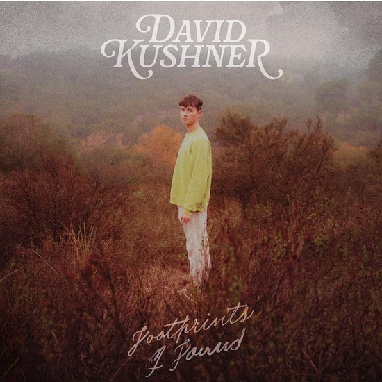 Footprints I Found (Vinyle) - DAVID KUSHNER