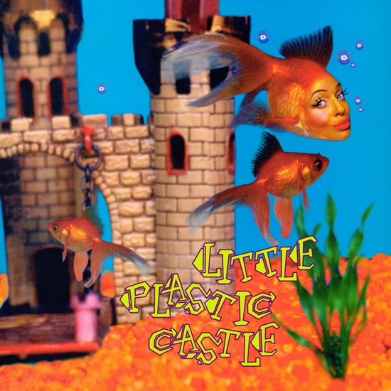 Little Plastic Castle (25th Anniversary Ed.)(2 Vinyle) - ANI DIFRANCO