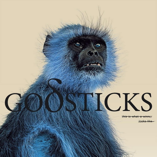This Is What A Winner Looks Like - GODSTICKS