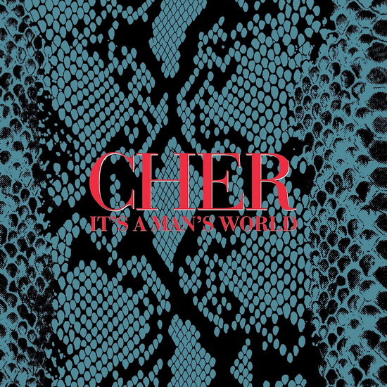 It's A Man's World (2 CD) - CHER