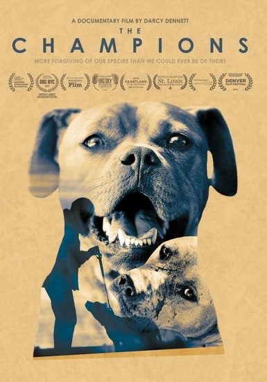 The Champions - DARCY DENNETT