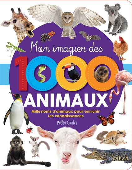 Mon imagier des 1000 animaux - MARIE-ÈVE CÔTÉ
