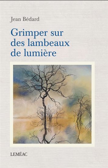 Grimper sur des lambeaux de lumière - JEAN BÉDARD